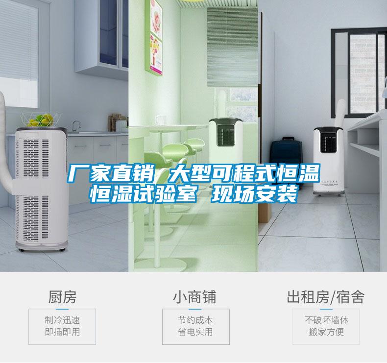 廠家直銷 大型可程式恒溫恒濕試驗室 現(xiàn)場安裝