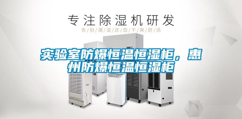 實驗室防爆恒溫恒濕柜，惠州防爆恒溫恒濕柜
