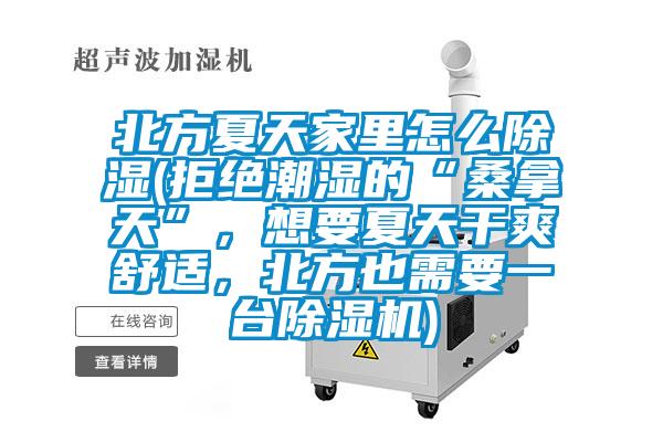 北方夏天家里怎么除濕(拒絕潮濕的“桑拿天”，想要夏天干爽舒適，北方也需要一臺(tái)除濕機(jī))