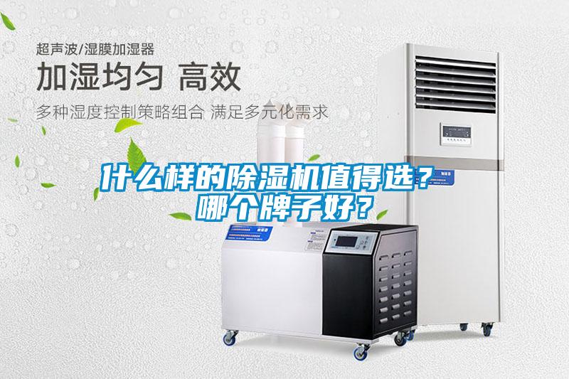 什么樣的除濕機值得選？ 哪個牌子好？