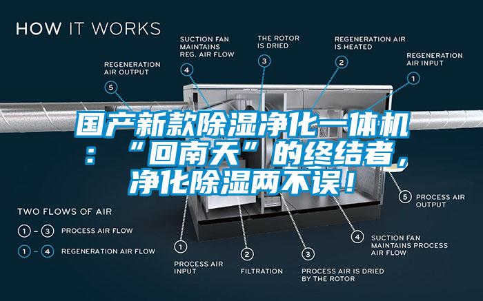 國(guó)產(chǎn)新款除濕凈化一體機(jī)：“回南天”的終結(jié)者，凈化除濕兩不誤！
