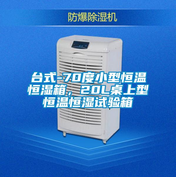 臺式-70度小型恒溫恒濕箱，20L桌上型恒溫恒濕試驗箱