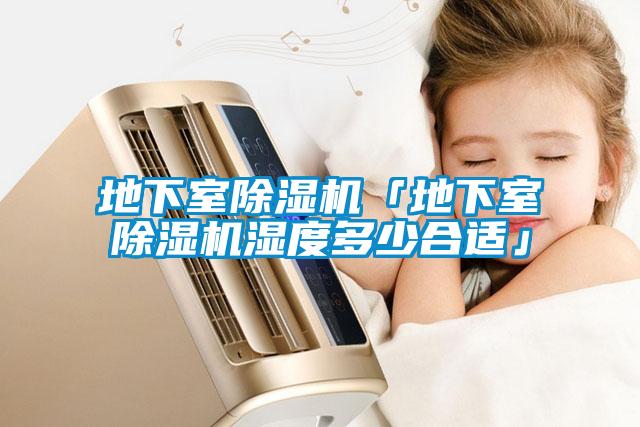 地下室除濕機(jī)「地下室除濕機(jī)濕度多少合適」