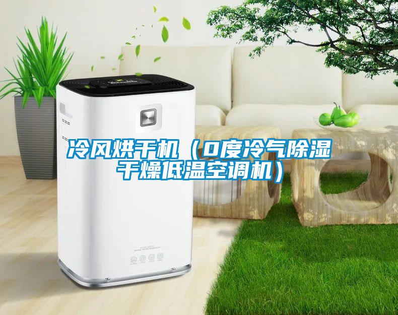 冷風(fēng)烘干機（0度冷氣除濕干燥低溫空調(diào)機）
