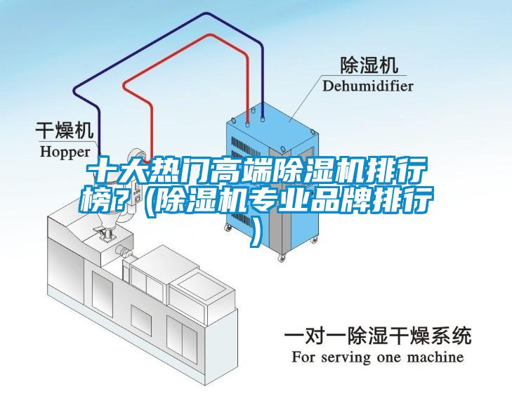 十大熱門高端除濕機(jī)排行榜？(除濕機(jī)專業(yè)品牌排行)