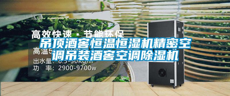 吊頂酒窖恒溫恒濕機精密空調(diào)吊裝酒窖空調(diào)除濕機