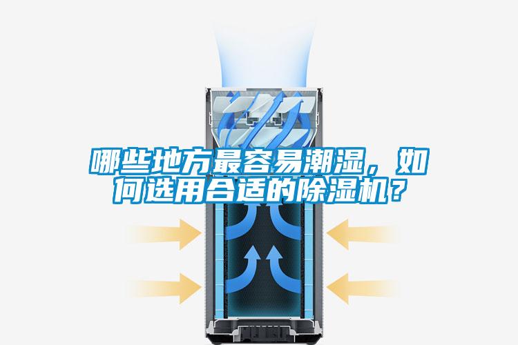 哪些地方最容易潮濕，如何選用合適的除濕機？