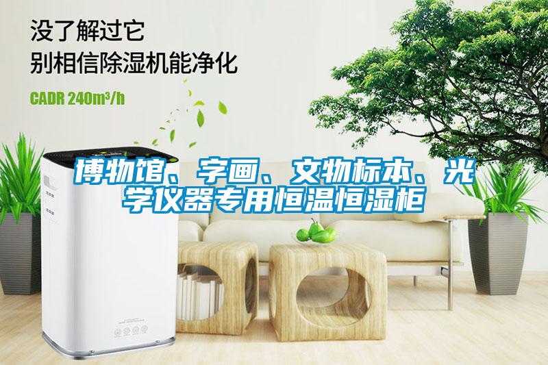 博物館、字畫(huà)、文物標(biāo)本、光學(xué)儀器專用恒溫恒濕柜