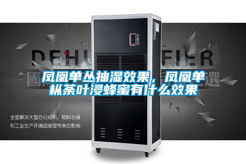 鳳凰單叢抽濕效果，鳳凰單樅荼葉浸蜂蜜有什么效果