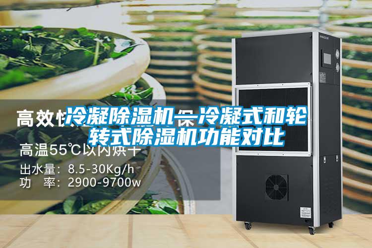 冷凝除濕機—冷凝式和輪轉(zhuǎn)式除濕機功能對比