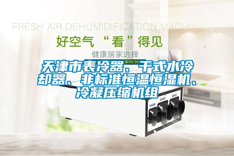 天津市表冷器、干式水冷卻器、非標準恒溫恒濕機、冷凝壓縮機組