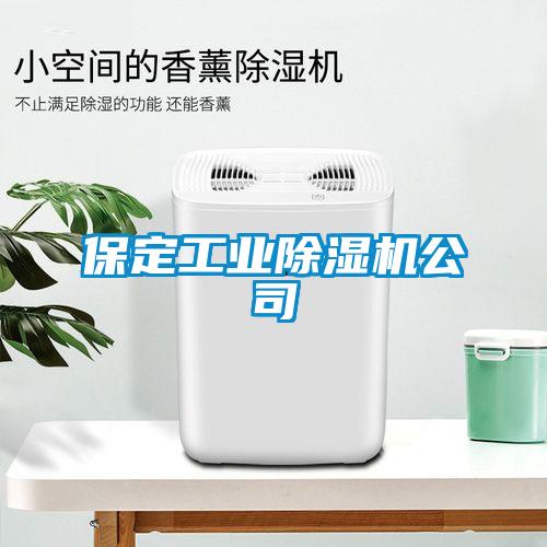 保定工業除濕機公司