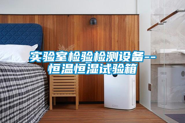 實(shí)驗(yàn)室檢驗(yàn)檢測(cè)設(shè)備--恒溫恒濕試驗(yàn)箱