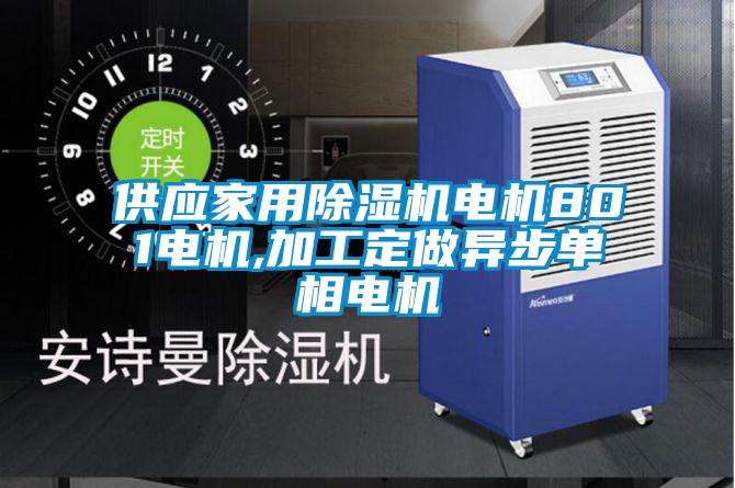 供應(yīng)家用除濕機電機801電機,加工定做異步單相電機