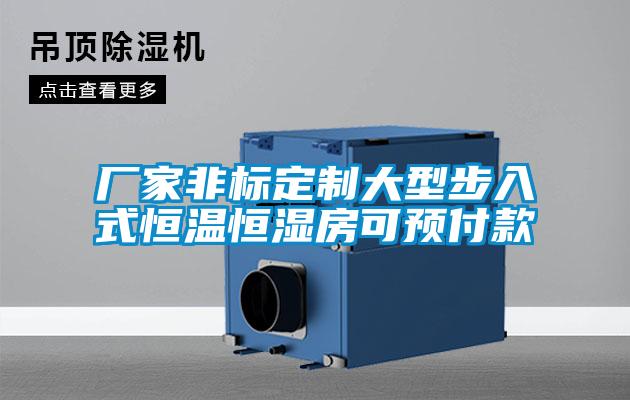 廠家非標定制大型步入式恒溫恒濕房可預(yù)付款