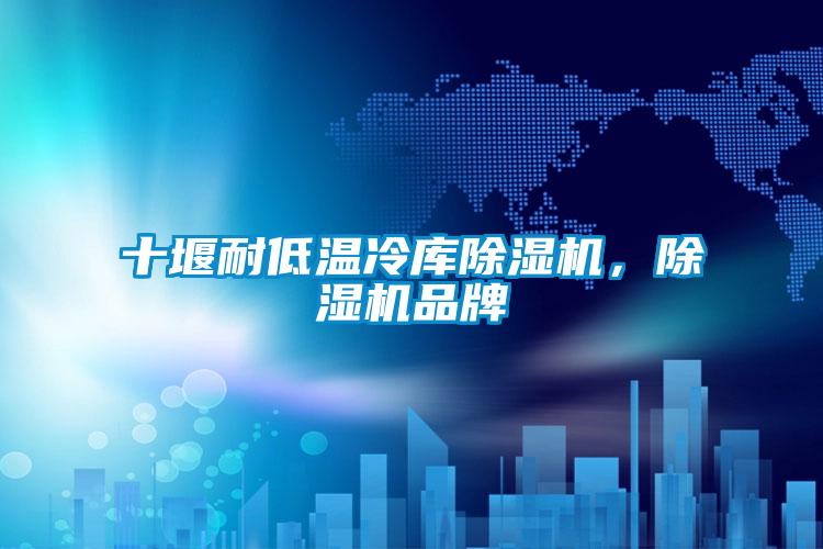 十堰耐低溫冷庫除濕機，除濕機品牌