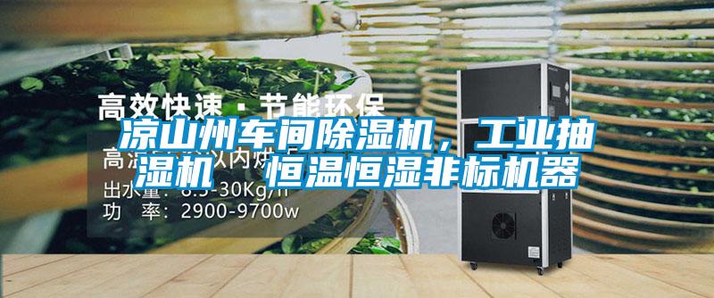 涼山州車間除濕機，工業(yè)抽濕機  恒溫恒濕非標(biāo)機器