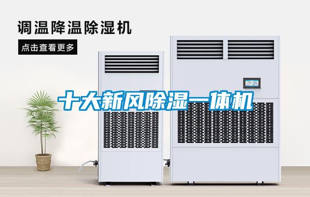 十大新風(fēng)除濕一體機