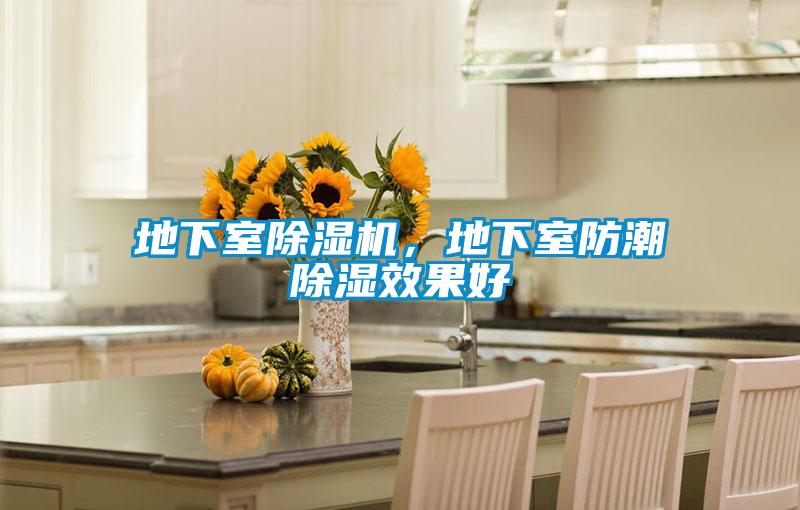 地下室除濕機，地下室防潮除濕效果好