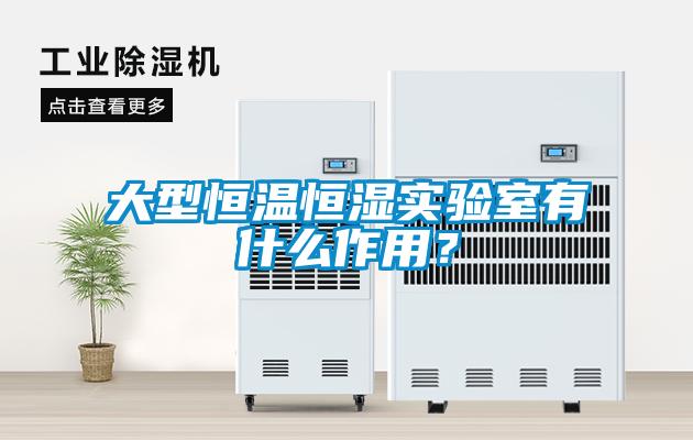 大型恒溫恒濕實驗室有什么作用？