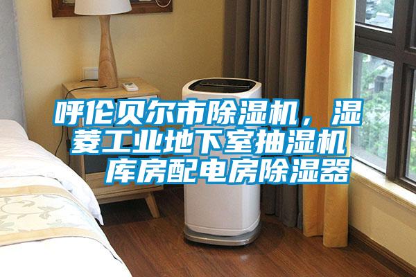 呼倫貝爾市除濕機(jī)，濕菱工業(yè)地下室抽濕機(jī)  庫房配電房除濕器