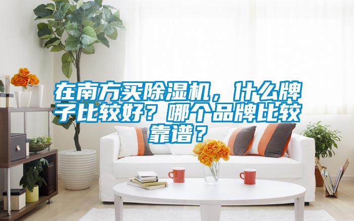 在南方買除濕機，什么牌子比較好？哪個品牌比較靠譜？