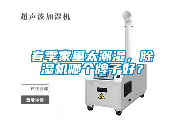 春季家里太潮濕，除濕機哪個牌子好？