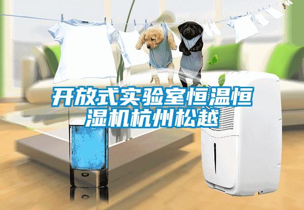 開(kāi)放式實(shí)驗(yàn)室恒溫恒濕機(jī)杭州松越