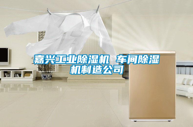 嘉興工業(yè)除濕機(jī) 車間除濕機(jī)制造公司