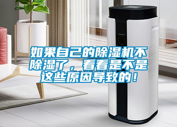 如果自己的除濕機不除濕了，看看是不是這些原因導致的！