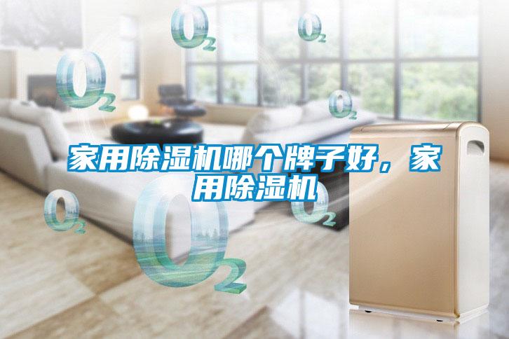 家用除濕機哪個牌子好，家用除濕機