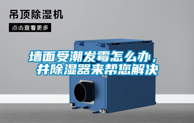 墻面受潮發(fā)霉怎么辦，東井除濕器來幫您解決