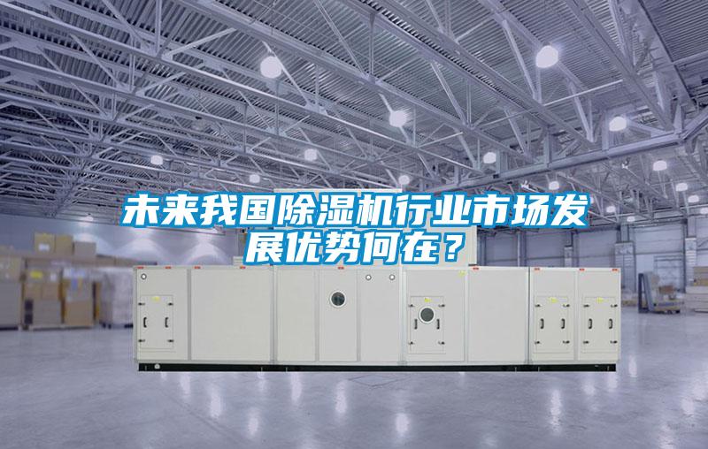 未來(lái)我國(guó)除濕機(jī)行業(yè)市場(chǎng)發(fā)展優(yōu)勢(shì)何在？