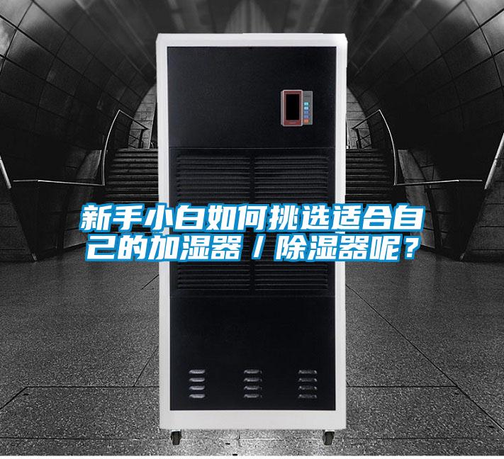 新手小白如何挑選適合自己的加濕器／除濕器呢？