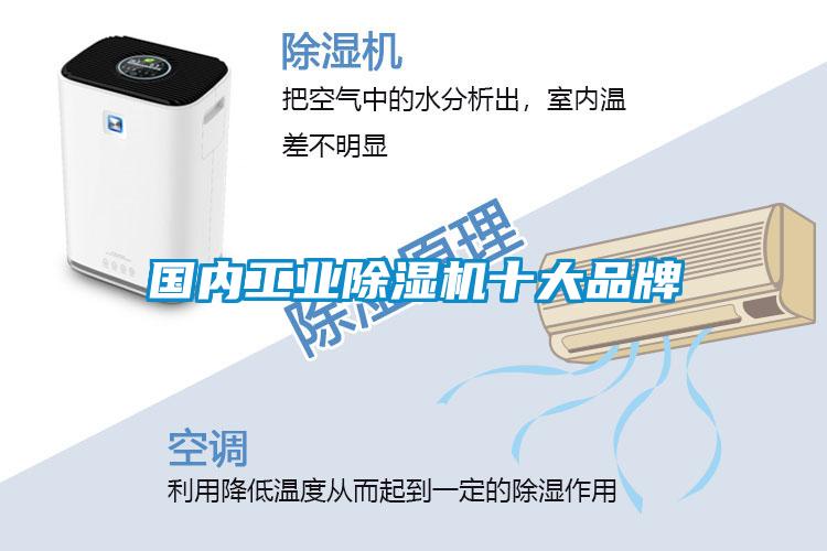 國(guó)內(nèi)工業(yè)除濕機(jī)十大品牌