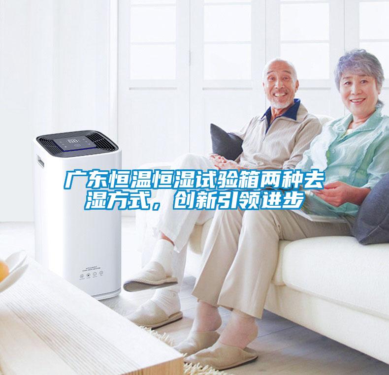 廣東恒溫恒濕試驗(yàn)箱兩種去濕方式，創(chuàng)新引領(lǐng)進(jìn)步