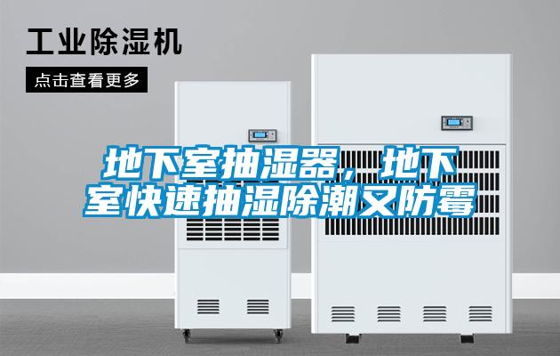 地下室抽濕器，地下室快速抽濕除潮又防霉