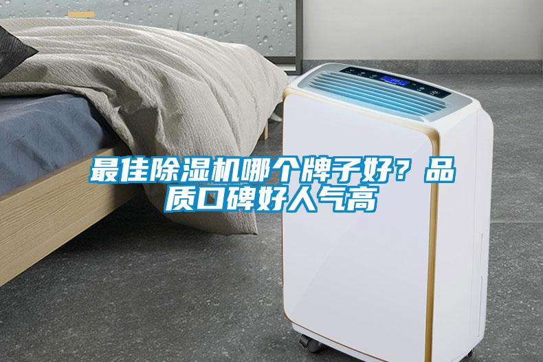 最佳除濕機(jī)哪個(gè)牌子好？品質(zhì)口碑好人氣高