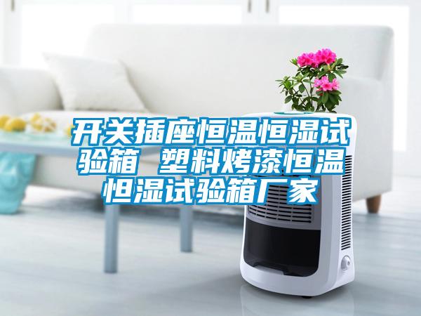 開(kāi)關(guān)插座恒溫恒濕試驗(yàn)箱 塑料烤漆恒溫怛濕試驗(yàn)箱廠家