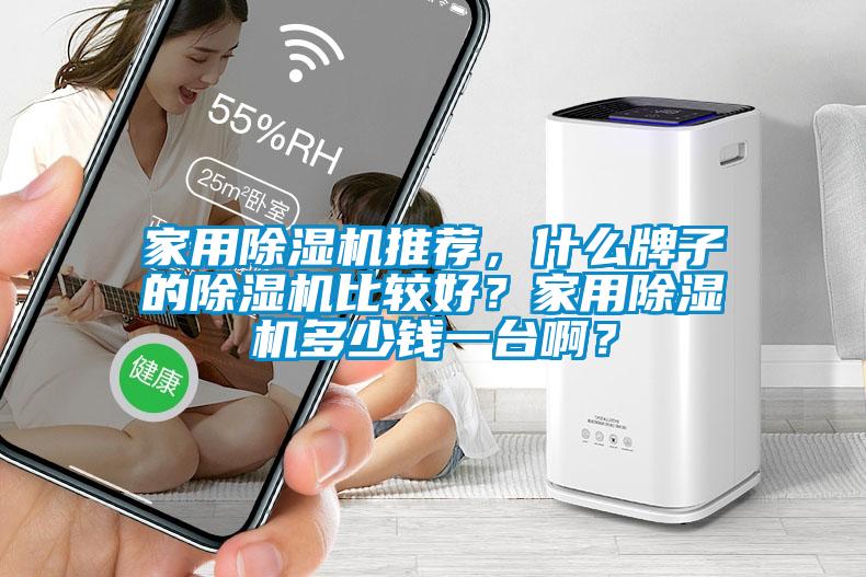 家用除濕機推薦，什么牌子的除濕機比較好？家用除濕機多少錢一臺??？
