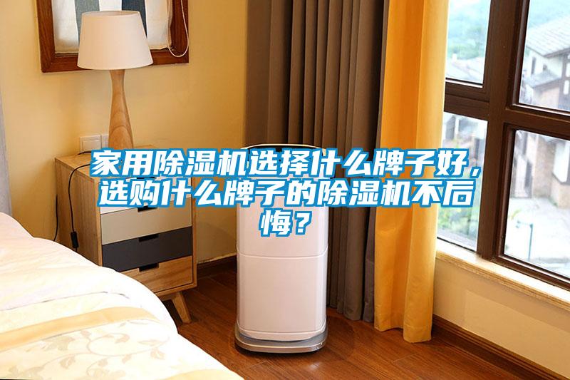 家用除濕機(jī)選擇什么牌子好，選購什么牌子的除濕機(jī)不后悔？