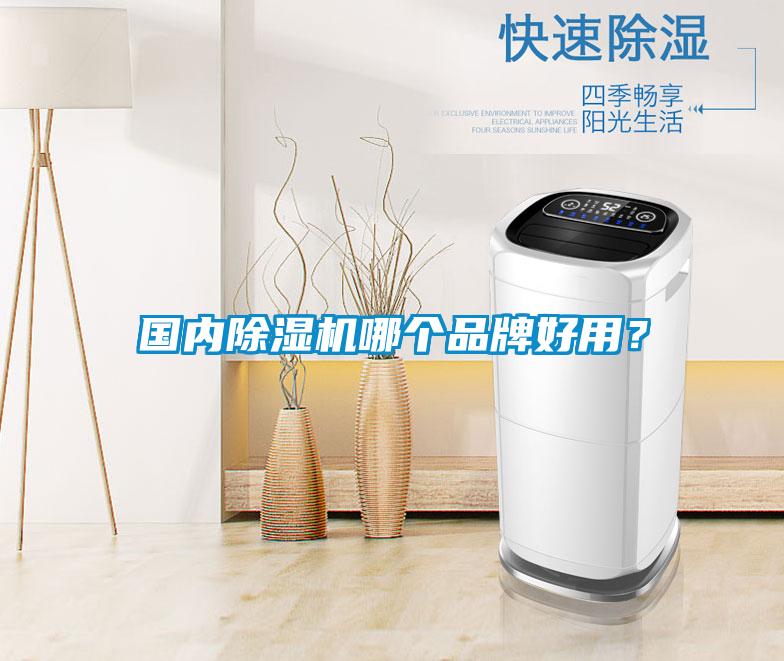 國內除濕機哪個品牌好用？
