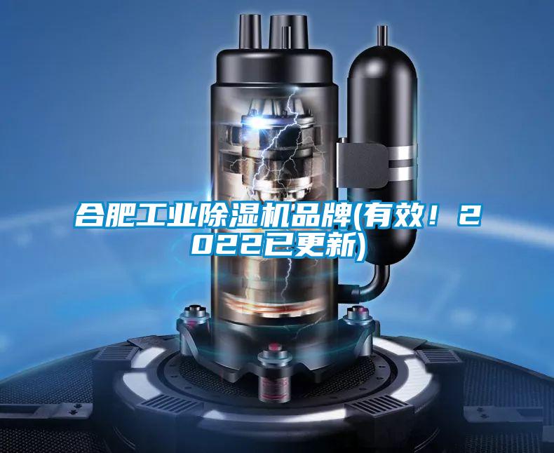 合肥工業(yè)除濕機品牌(有效！2022已更新)