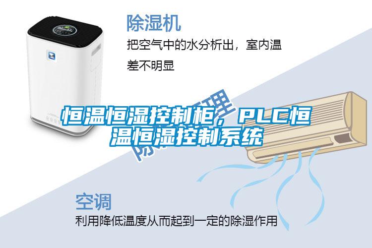 恒溫恒濕控制柜，PLC恒溫恒濕控制系統(tǒng)