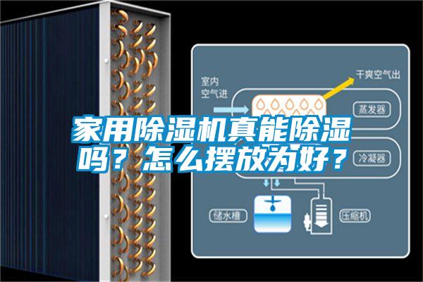 家用除濕機真能除濕嗎？怎么擺放為好？