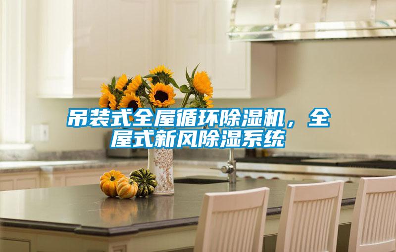 吊裝式全屋循環除濕機，全屋式新風除濕系統
