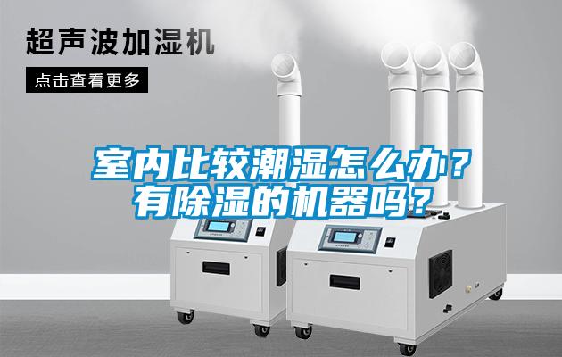 室內(nèi)比較潮濕怎么辦？有除濕的機(jī)器嗎？