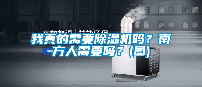我真的需要除濕機嗎？南方人需要嗎？(圖)