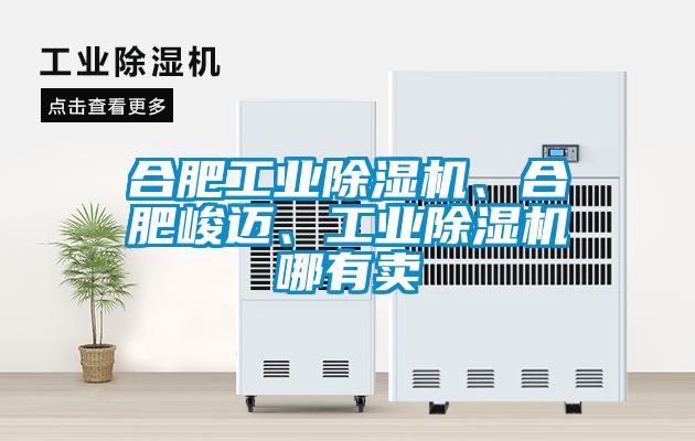 合肥工業除濕機、合肥峻邁、工業除濕機哪有賣