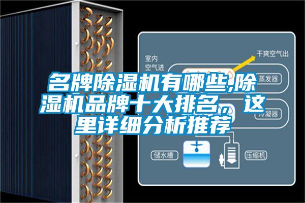 名牌除濕機(jī)有哪些,除濕機(jī)品牌十大排名，這里詳細(xì)分析推薦